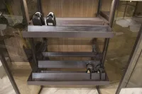 Glass door wardrobe - Pull-out shoe rack close-up