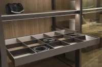 Glass door wardrobe - Belt and tie tray detail
