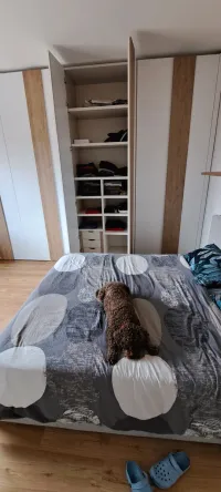 Armoire en niche - Padoue, Italie - RAL9003 laqué mat avec poignée K Rovere